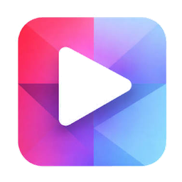 VPZone logo